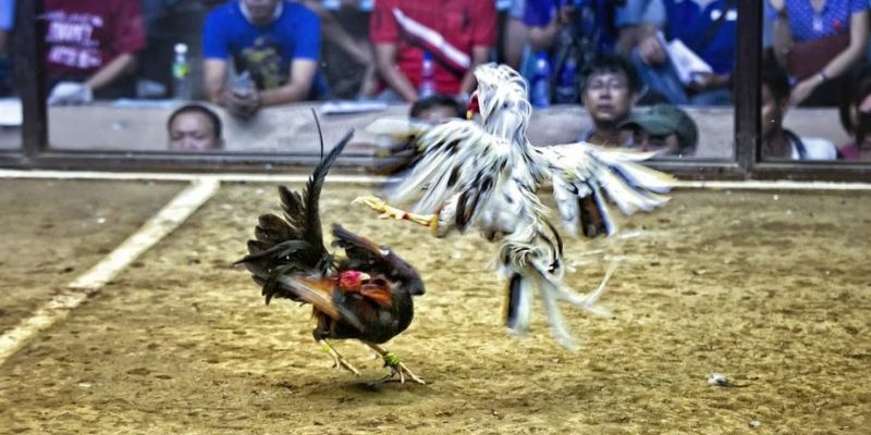 kuwin42 ﻿đăng nhập lô đề uy tín