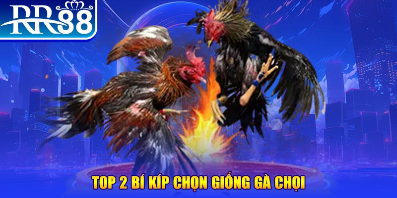 kuwin42 bắn cá h5