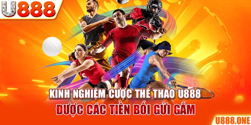 kuwin42 ÁT CHỦ BÀI GIÀNH LẤY ZHUANG NIUNIU ( XEM 3 LÁ )