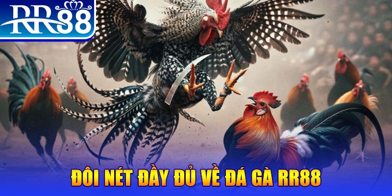 kuwin42 gà chọi hoà phong