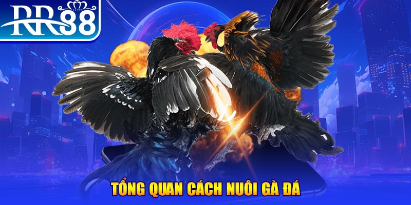 kuwin42 xổ số thứ ba