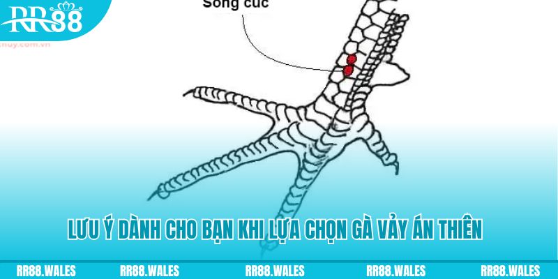 kuwin42 xổ số khánh hòa