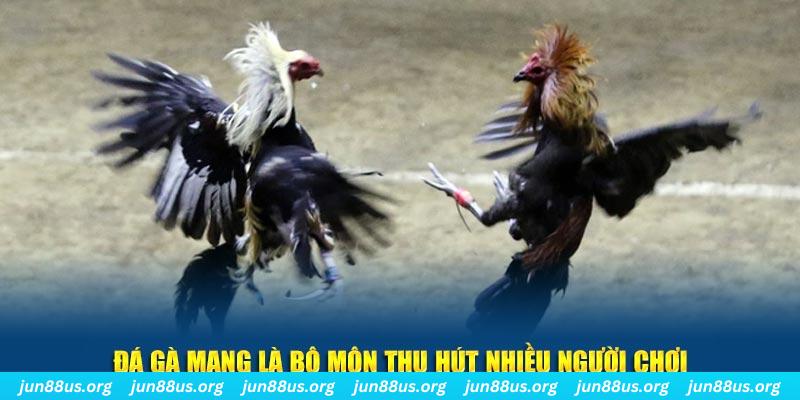 kuwin42 xổ số long an