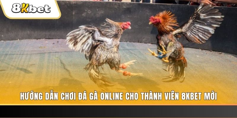 kuwin42 nổ hũ đổi thưởng . ai