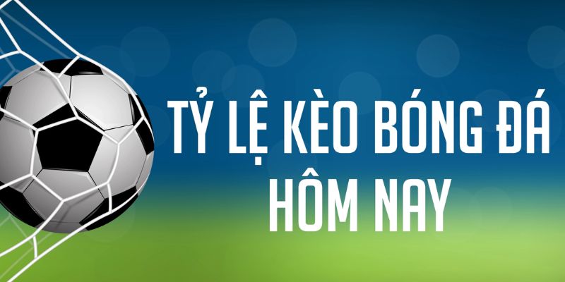 kuwin42 ÁT CHỦ MÁY HOA QUẢ THẦN TÀI