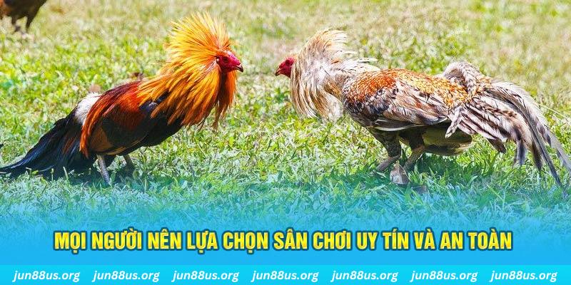 kuwin42 Tài Xỉu