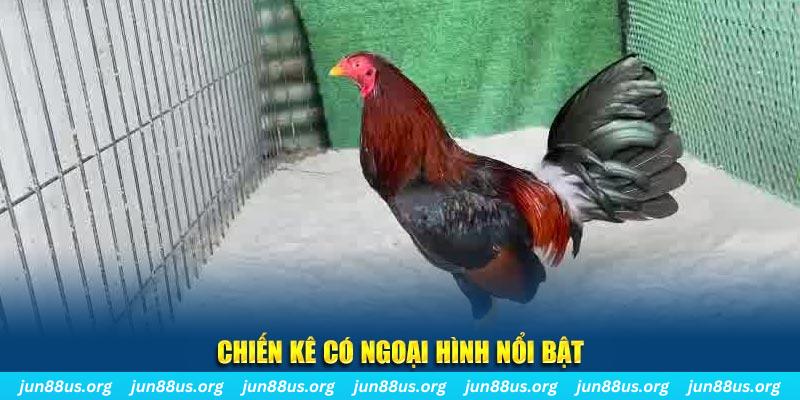 kuwin42 nhạc slot là gì